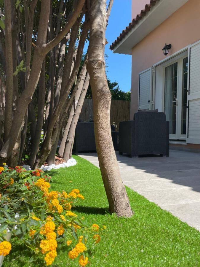 L'isola Felice Apartment Olbia